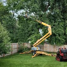  Peekskill, NY Tree Care Pros