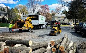 Best Landscape Design and Installation  in Peekskill, NY