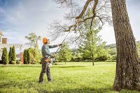 Best Grass Overseeding  in Peekskill, NY